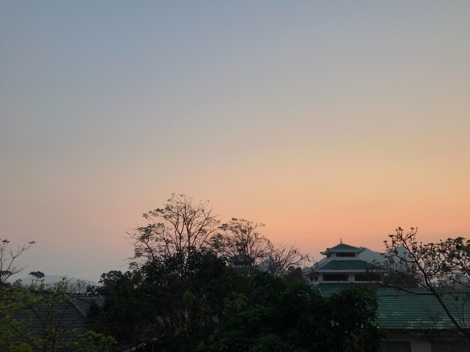 IMG_7275.PNG