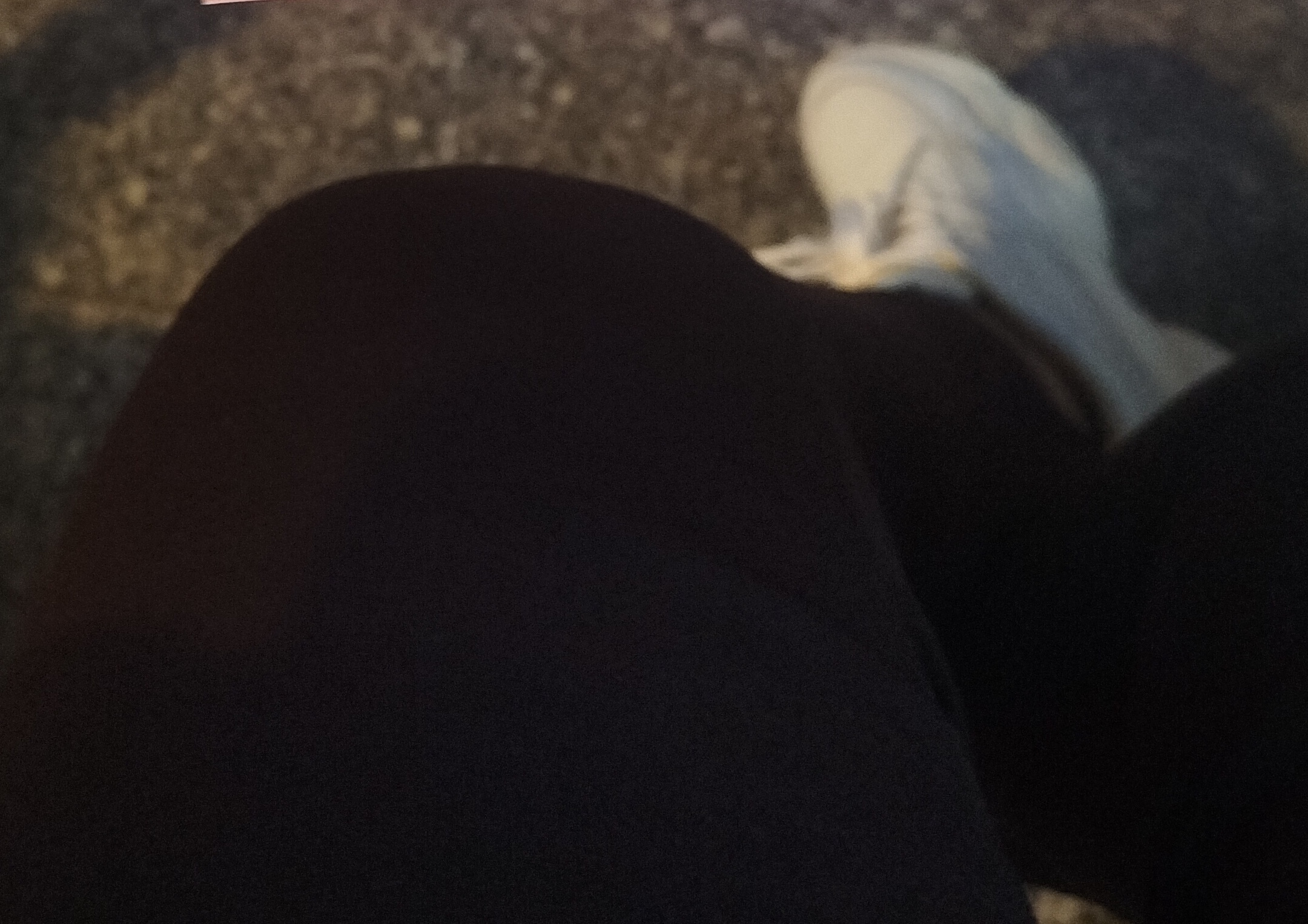 IMG_7332.jpeg