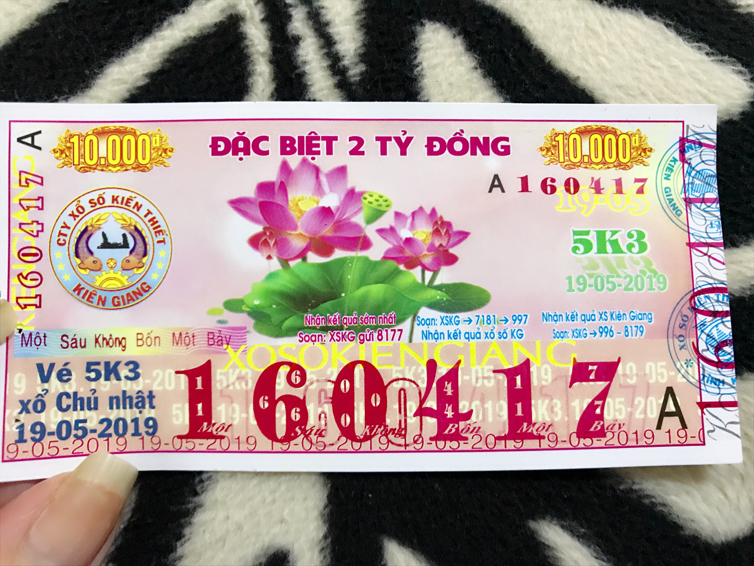 IMG_7431.PNG