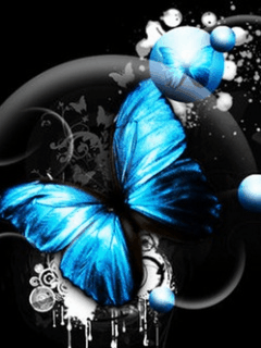 IMG_8049.GIF