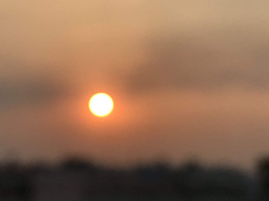 IMG_8956.JPG