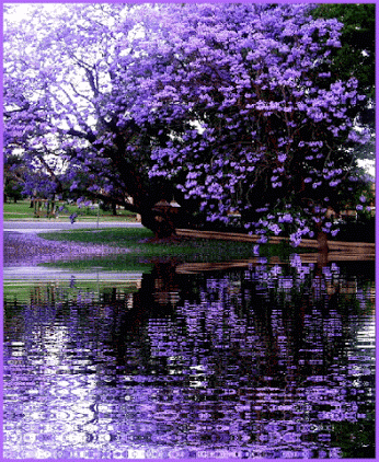 IMG_9830.GIF