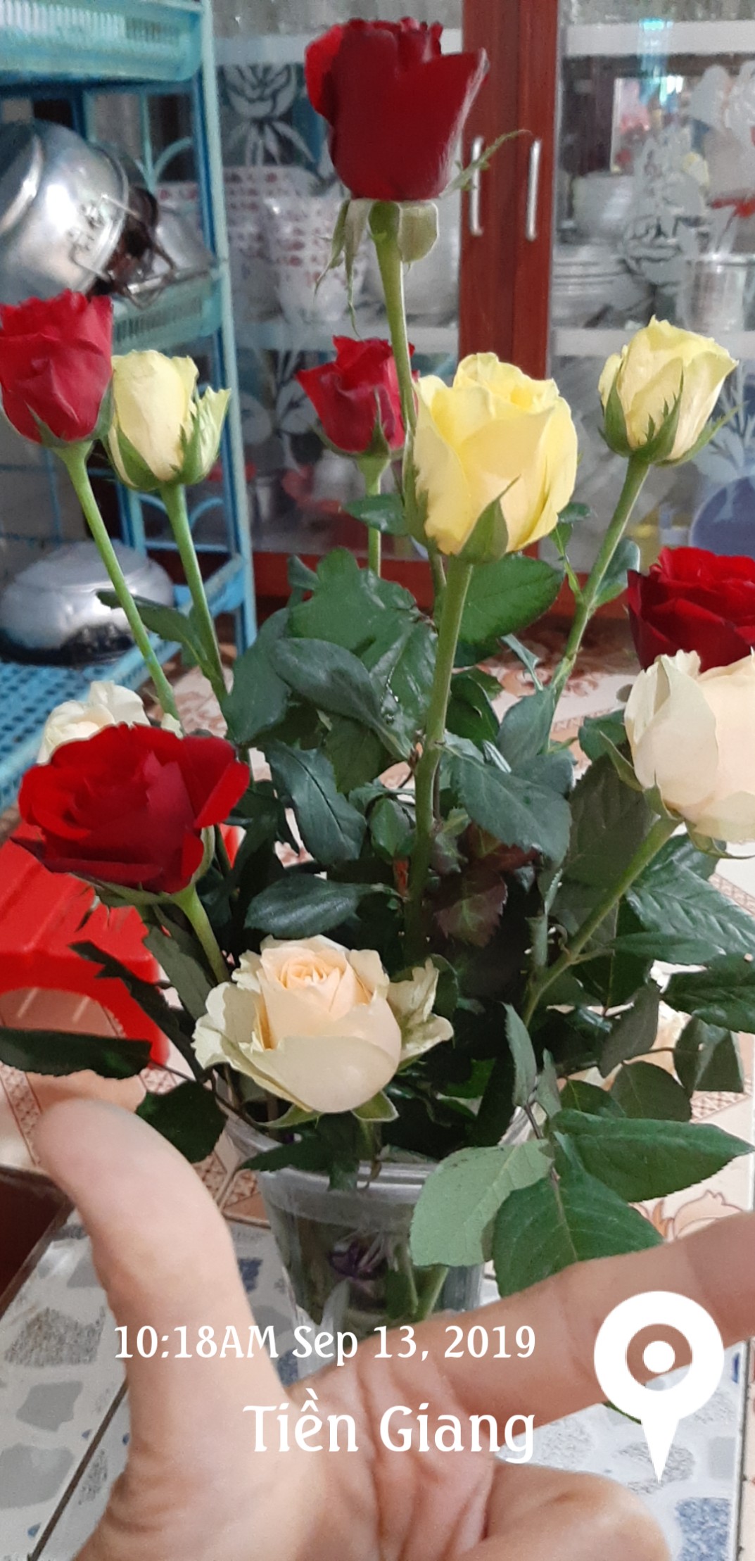 IMG_UPLOAD_20190913_101820.jpg