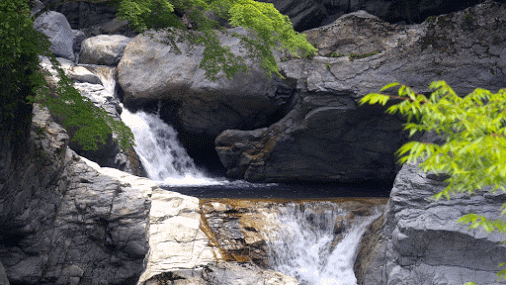 JAPAN[1].gif