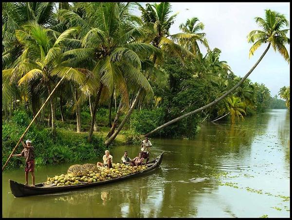 Kerala_Natural_Beauty_6_lyfmk[1].JPG