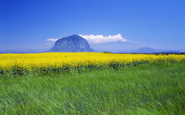 kham-pha-dao-jeju-tho-mong-03[1].jpg
