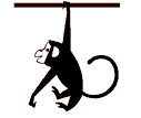 Khỉ Gif (3).gif