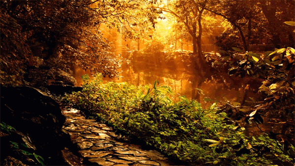 kienthuc%20congdongmang%20cinegraphdepmehon%20(3)_qqch[1].gif