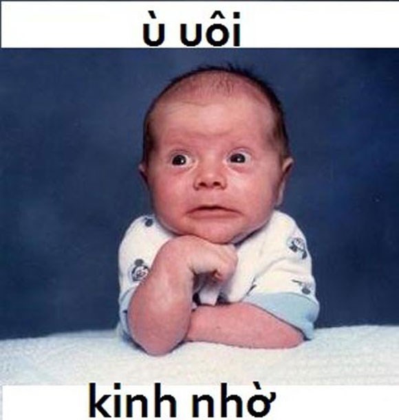 kinh.jpg
