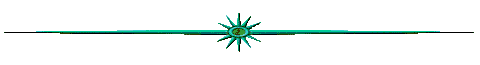 ligne-shineybar-2.gif