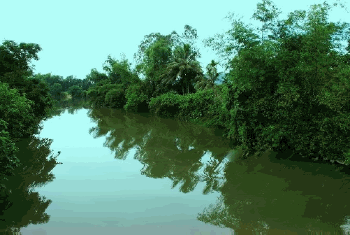 lybinh2[1].gif