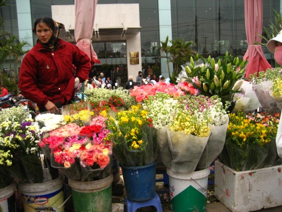 Mach-nuoc-cac-nguon-hang-nhap-hoa-tuoi-phong-phu-va-gia-r%E1%BA%BB-1-e1446624541736[1].jpg
