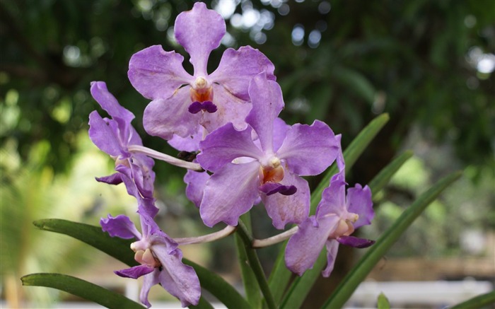 medium_20101008125400239086[1].jpg
