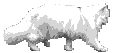 Mèo Gif (15).gif