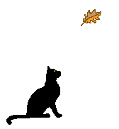 Mèo Gif (24).gif