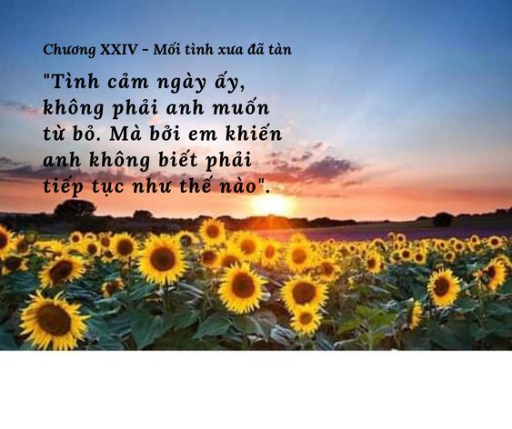 moitinhxua.jpg