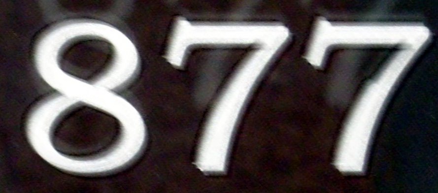 n0877.jpg