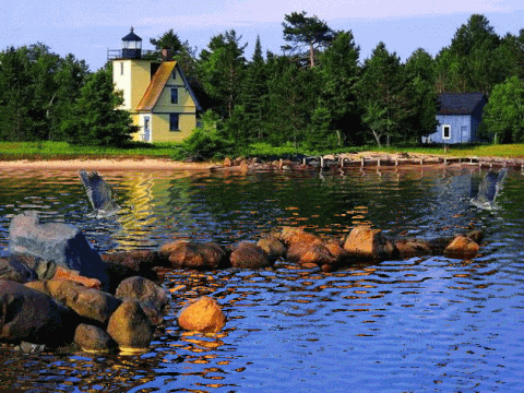 nature-animation-gif-19_zps4tplgqet.gif