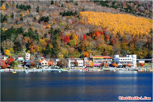 ngan-ngo-ngam-thien-duong-mua-thu-tai-nhat-ban-a092df[1].jpg