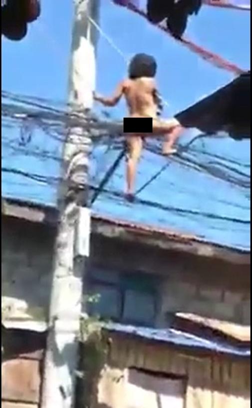 ngao.jpg