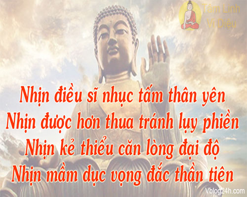 nhan-nhin[1].jpg