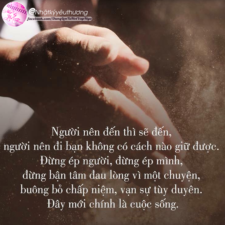 nhat-ky-yeu-thuong-217643-van-su-tuy-duyen-do-chinh-la-cuoc-song-y-y.png