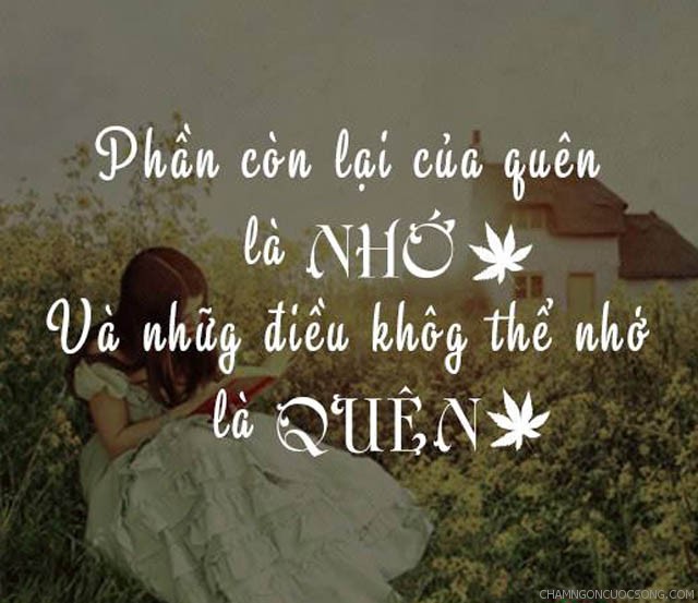 nho va quen.jpg
