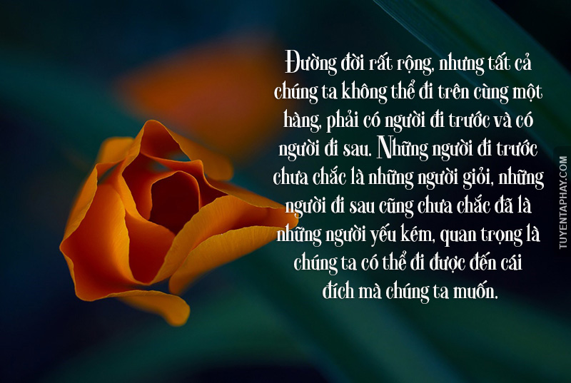 nhung-cau-noi-hay-ve-cuoc-song-va-duong-doi-ma-ban-nhat-dinh-phai-ghi-nho-trong-long-1.jpg