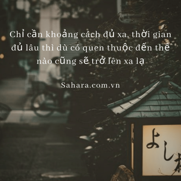 nhung-cau-noi-hay-ve-tinh-yeu-3-600x600.png
