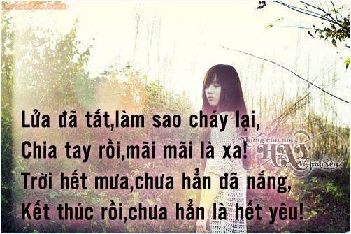 nhung-cau-noi-hay-ve-tinh-yeu-tan-vo-7.jpg