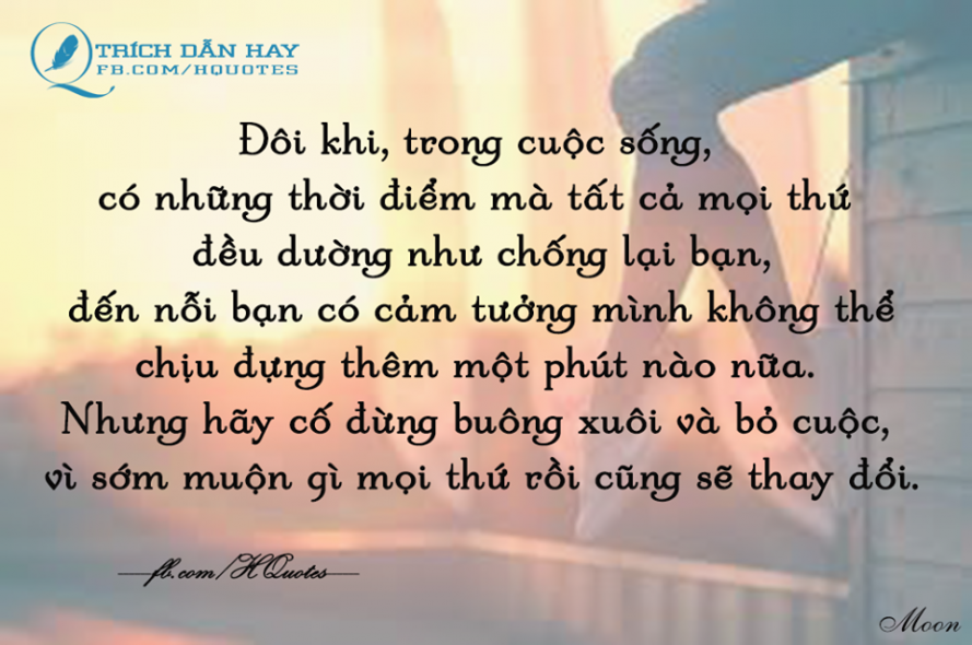 nhung-cau-stt-hay-ve-cuoc-song.png