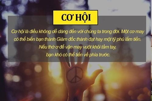 nhung-dieu-lang-phi-nhat-trong-cuoc-doi-y-nghia-thiet-thuc-nhat7[1].jpg