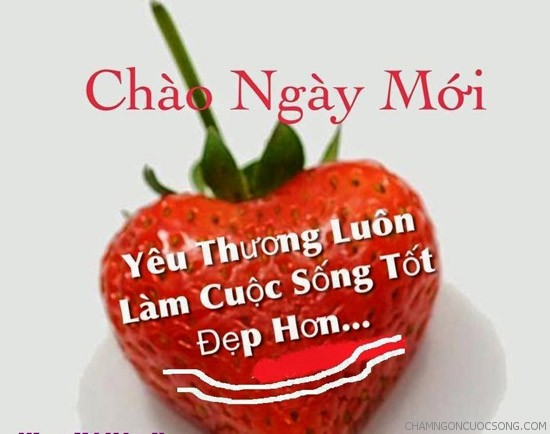 nhung-loi-chuc-buoi-sang-lang-man.jpg