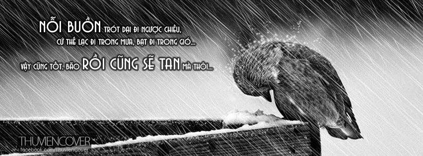 nhung-stt-buon-noi-ve-mua-cuc-chat-hop-voi-tam-trang-1.jpg
