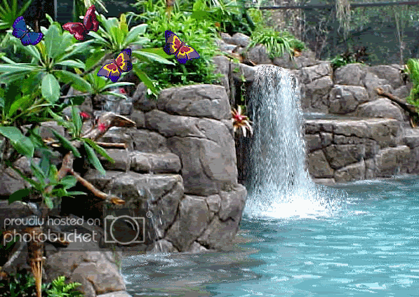 paisaje.gif