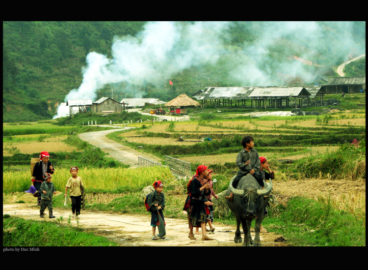 phong-canh-thien-nhien-viet-nam.jpg