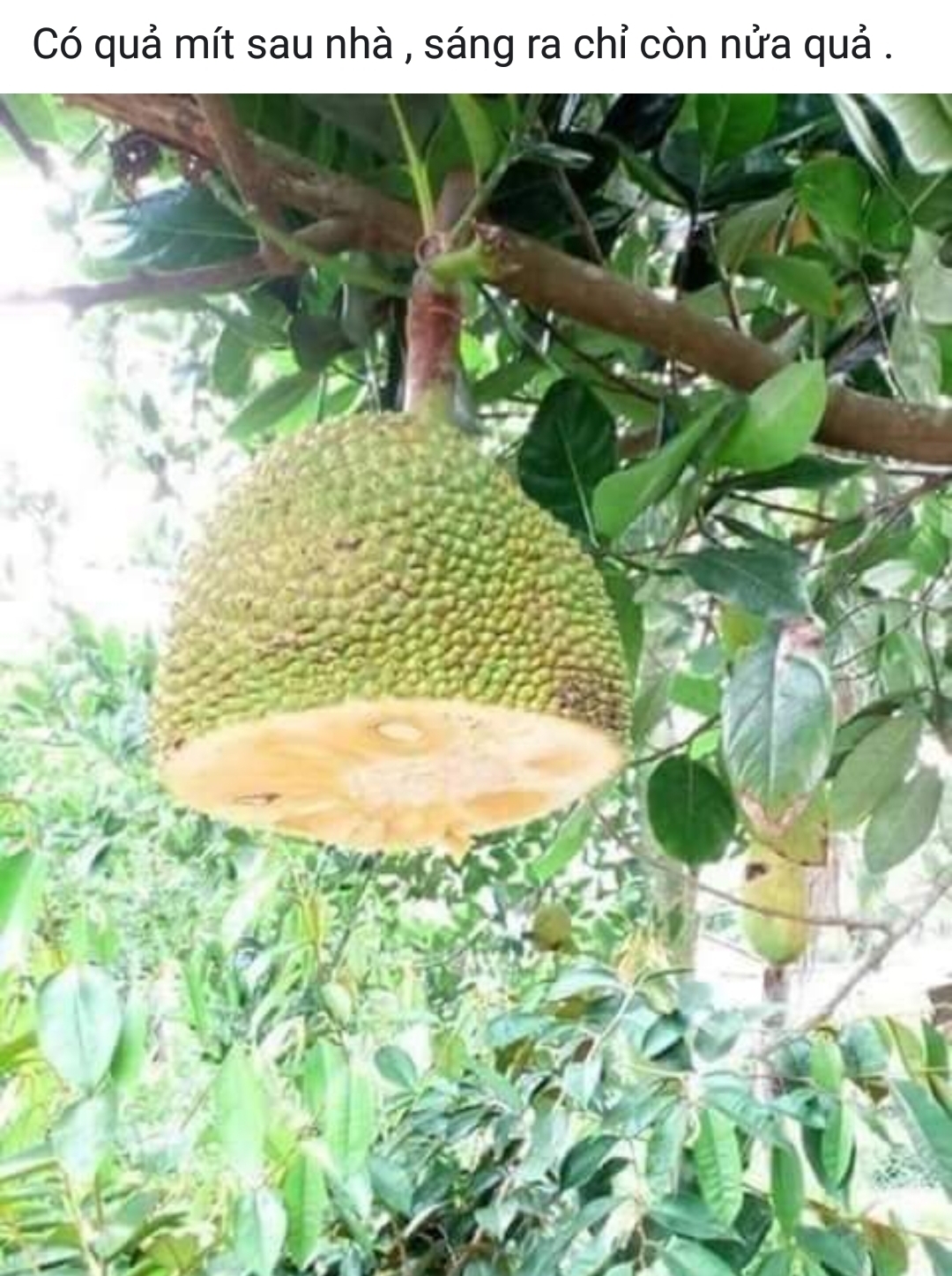 Photo - 02019-36-03-11-36-22.jpg