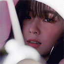 photo-107558.gif