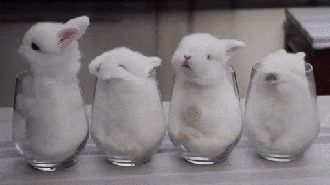 photo-15-1515818561704.gif