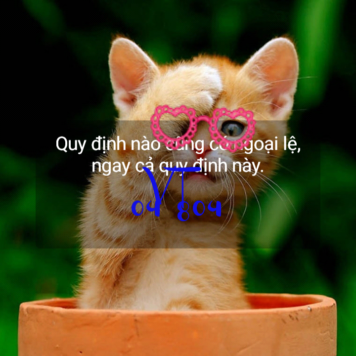 Picture1493648008757.png