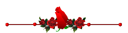 profile-divider-49.gif