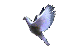 pticia-391.gif