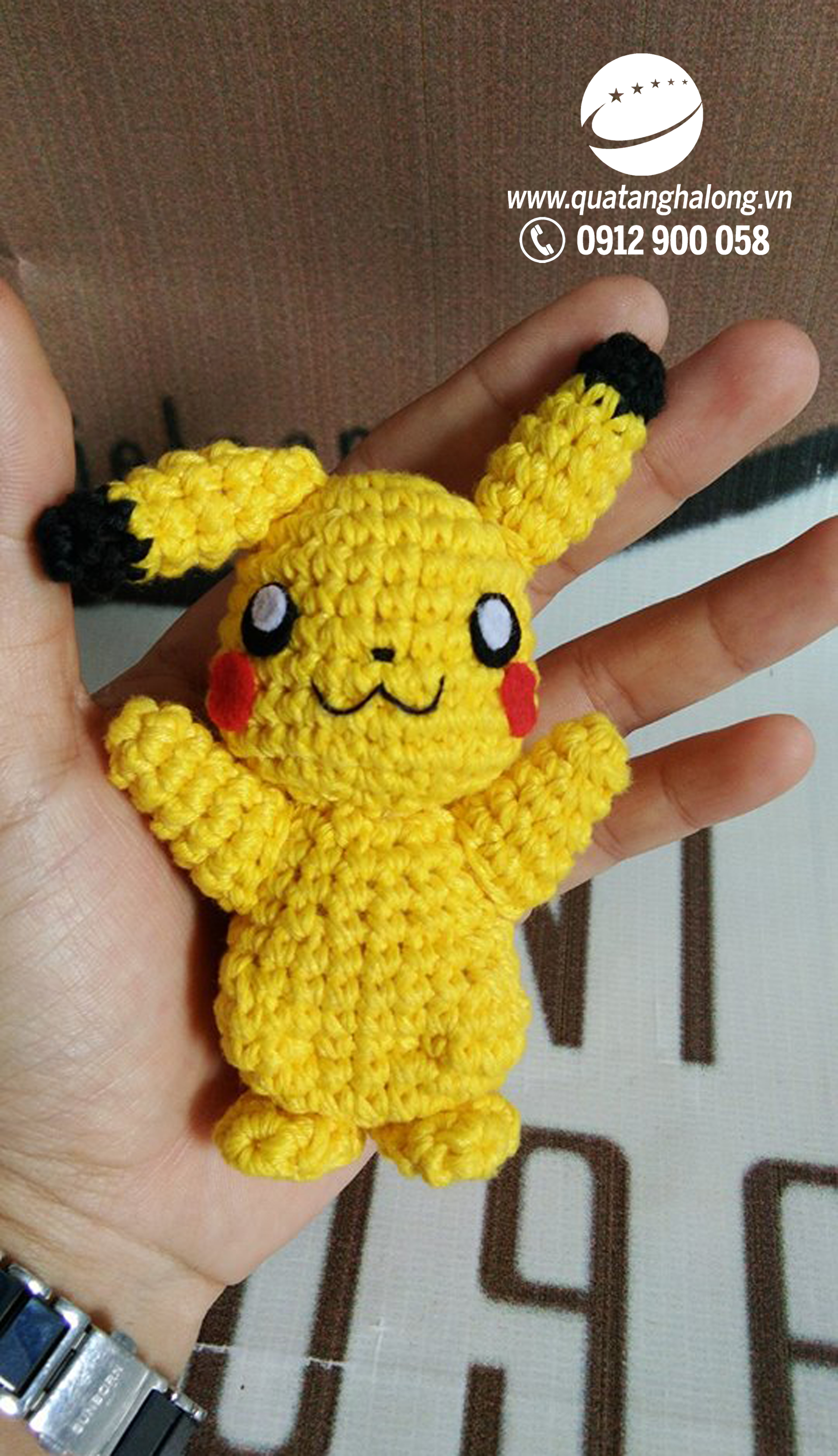 qua-tang-ha-long-thu-nhoi-bong-pokemon-go.jpg