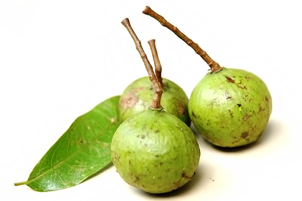 QuaSau.jpg