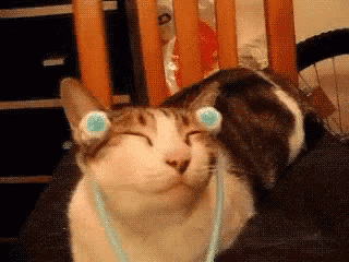 received_145304989423986.gif