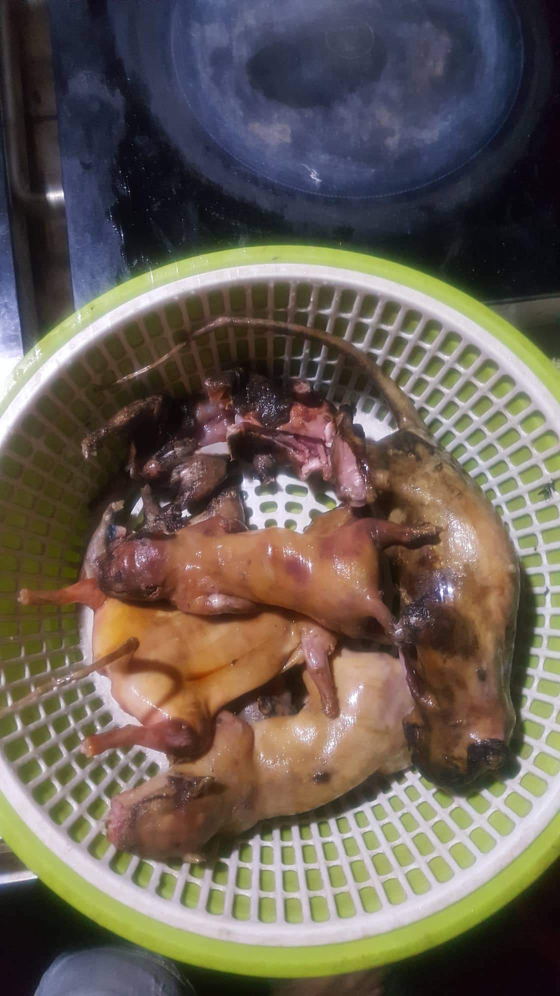 received_1584569951696664.jpeg