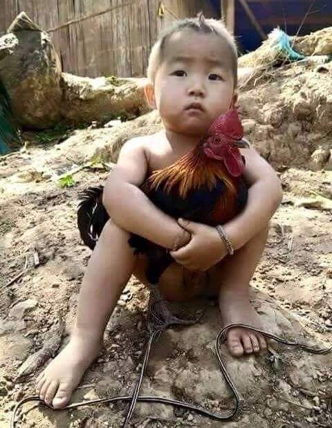 received_204370609947877.jpeg