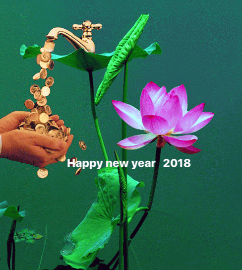 received_308119676374993.gif