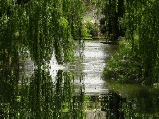 river[2].gif