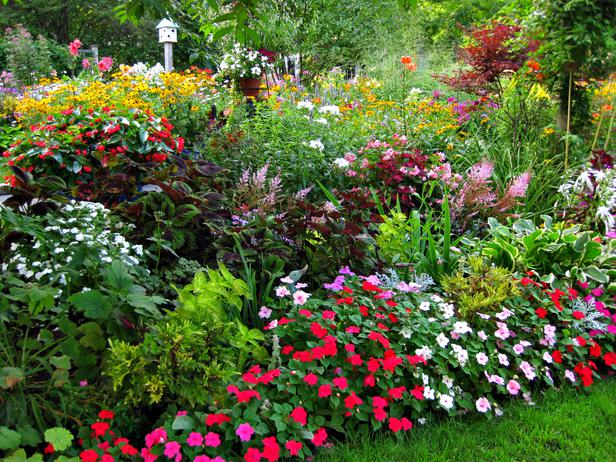 rms-chefboston_shade-garden_s4x3_lg[1].jpg